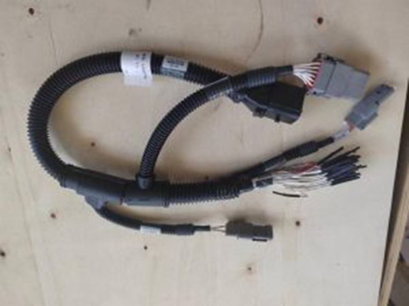 XCMG Harness 380400693