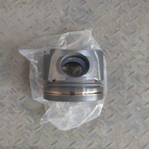 XCMG Piston For XGC55 S00016602